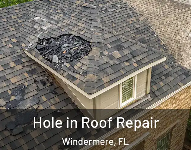  Hole in Roof Repair Windermere, FL