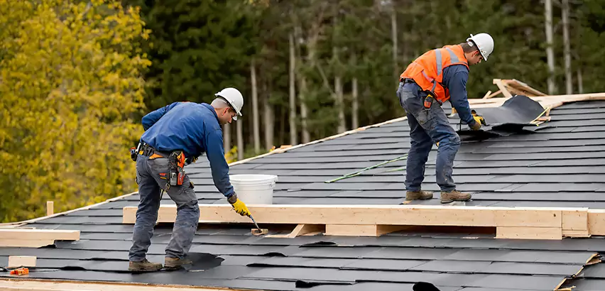 Architectural Shingle Repair Windermere
